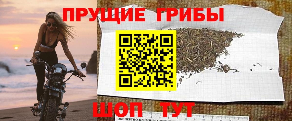 Галлюциногенные грибы Psilocybine cubensis  Вход с VPN  Красноярск 